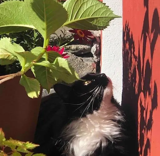 In The Heart Of * Bergen