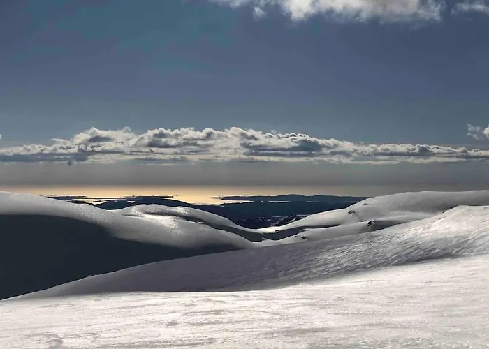 In The Heart Of * ベルゲン