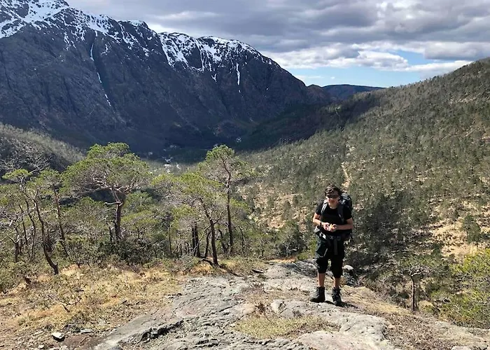 In The Heart Of Apartment *